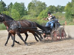 DSC_9196_web